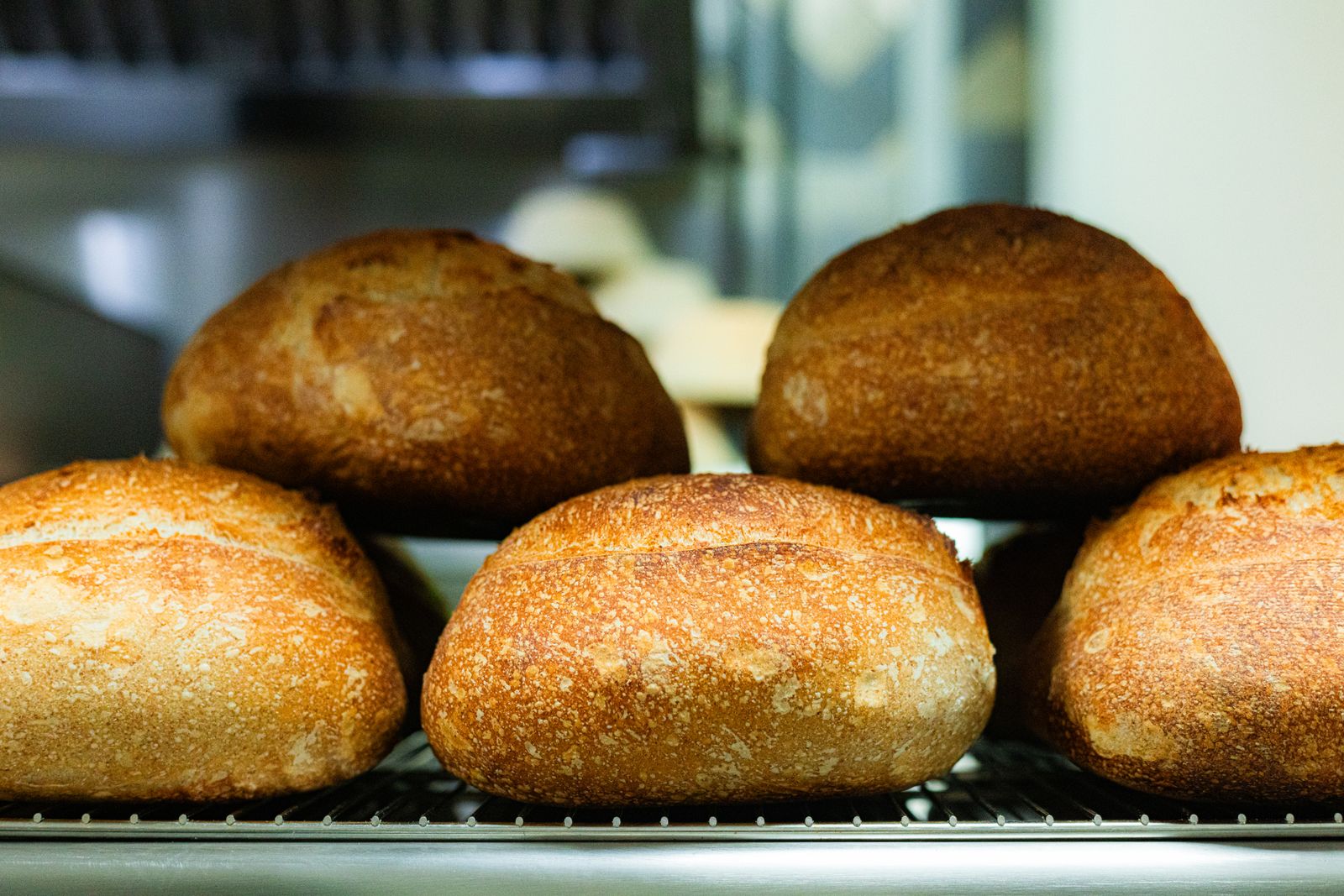 Tourtes de campagne dorées