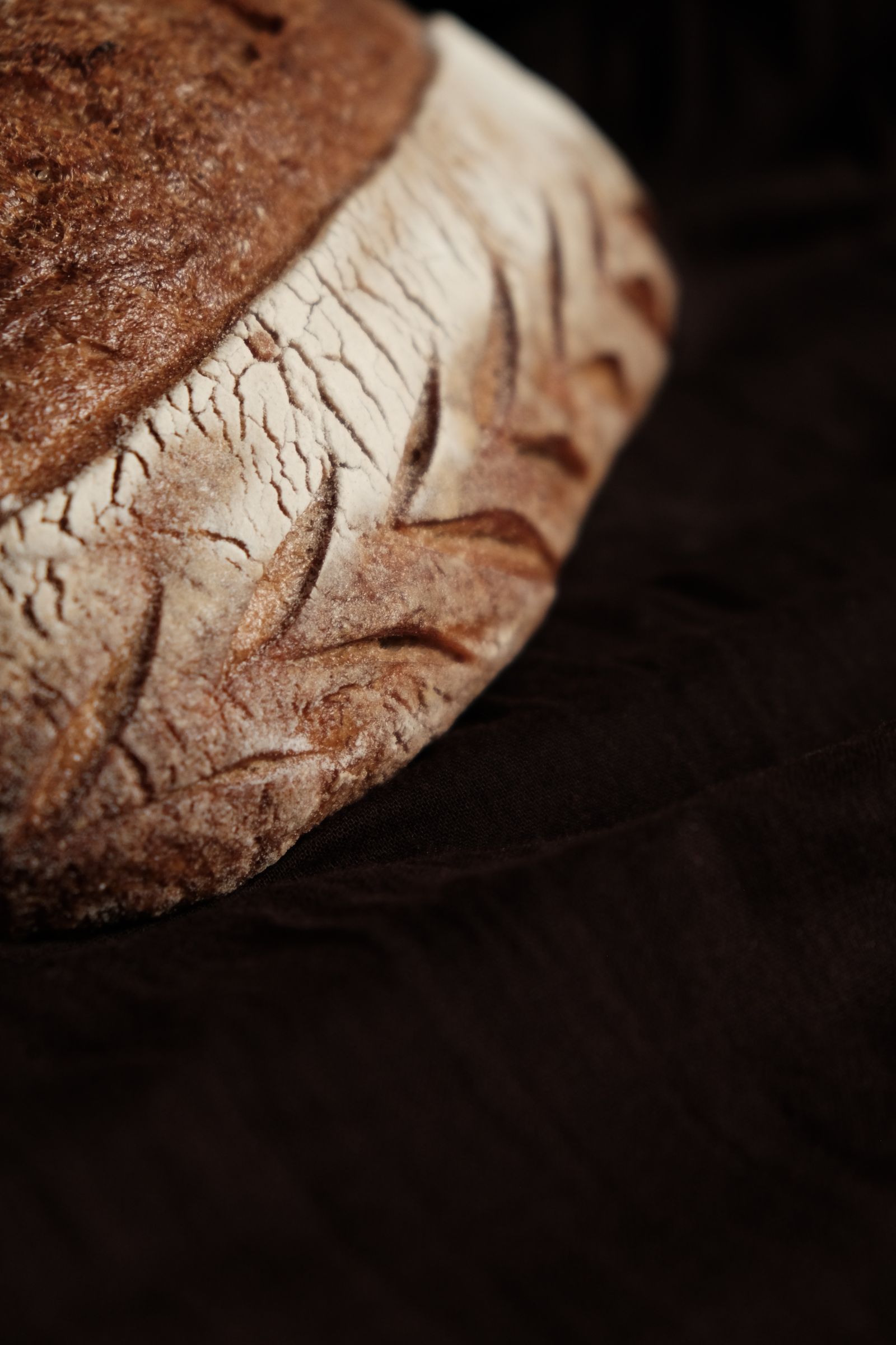 Tourte au levain grignée, sortie du four à bois