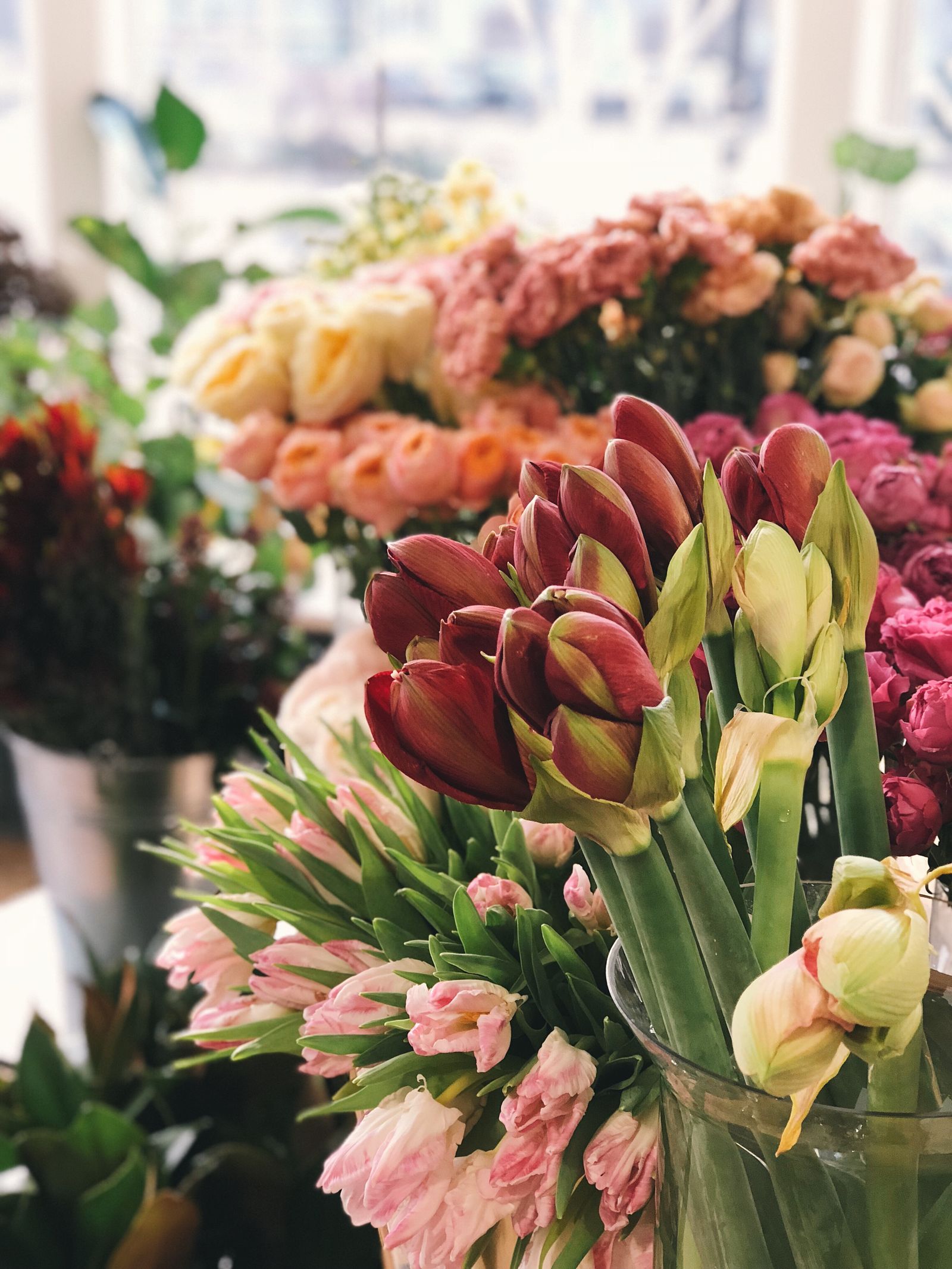Tulipes en botte à la boutique