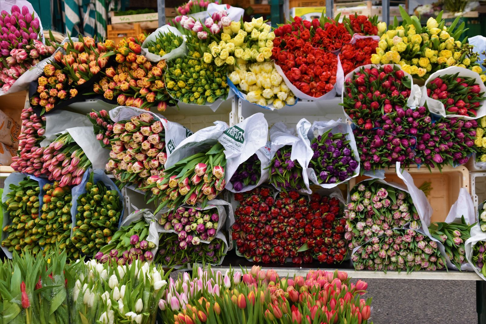 Étal de la boutique, bottes de tulipes et bouquets