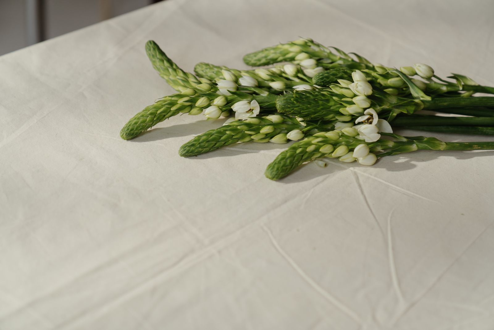 Fleurs blanches sur drap de lin, composition de deuil