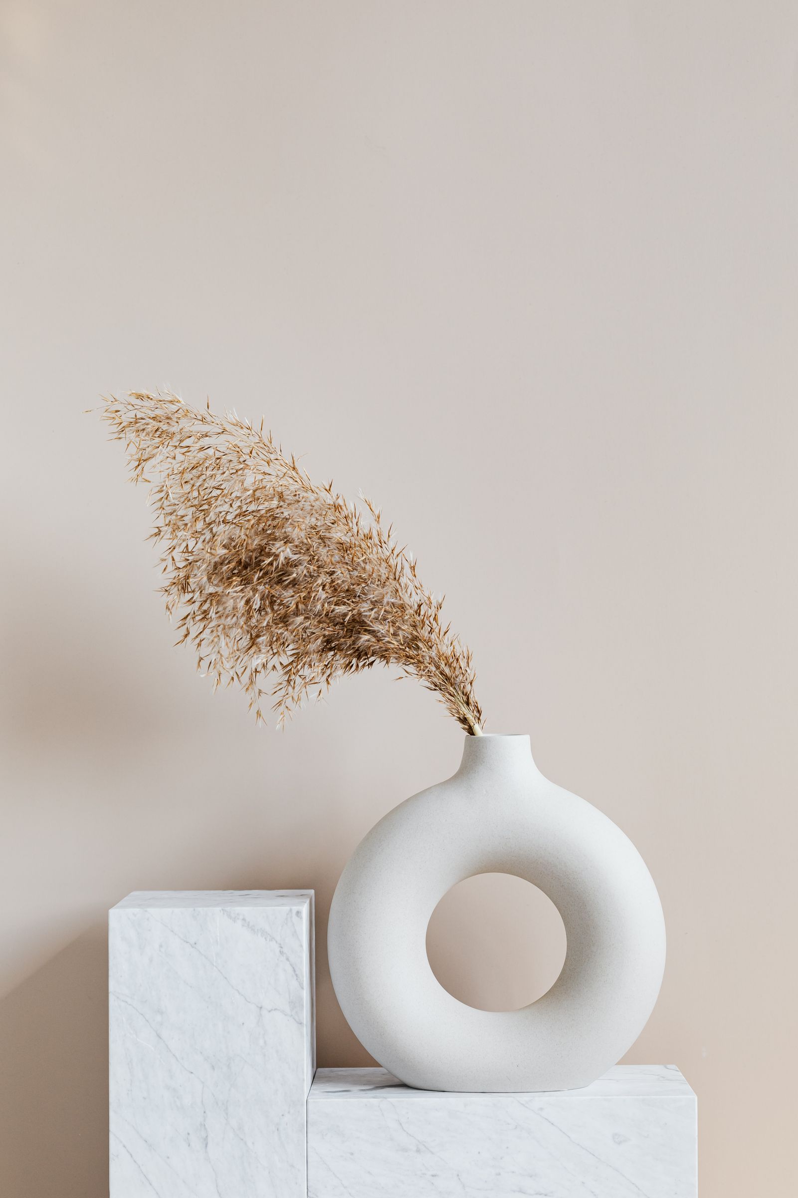 Graminées séchées dans un vase blanc