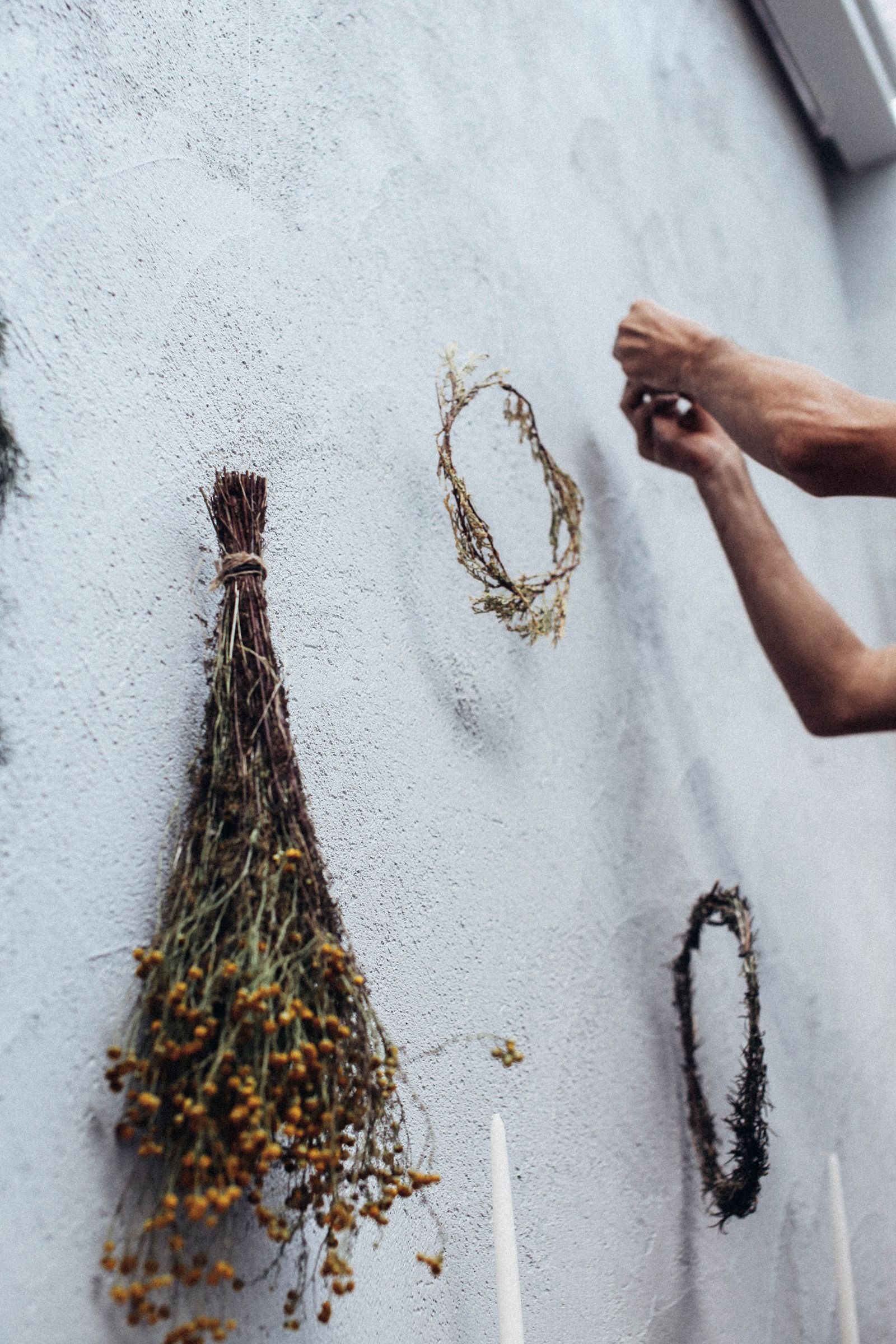 Les mains d'Hélène accrochant des fleurs séchées sur un mur clair