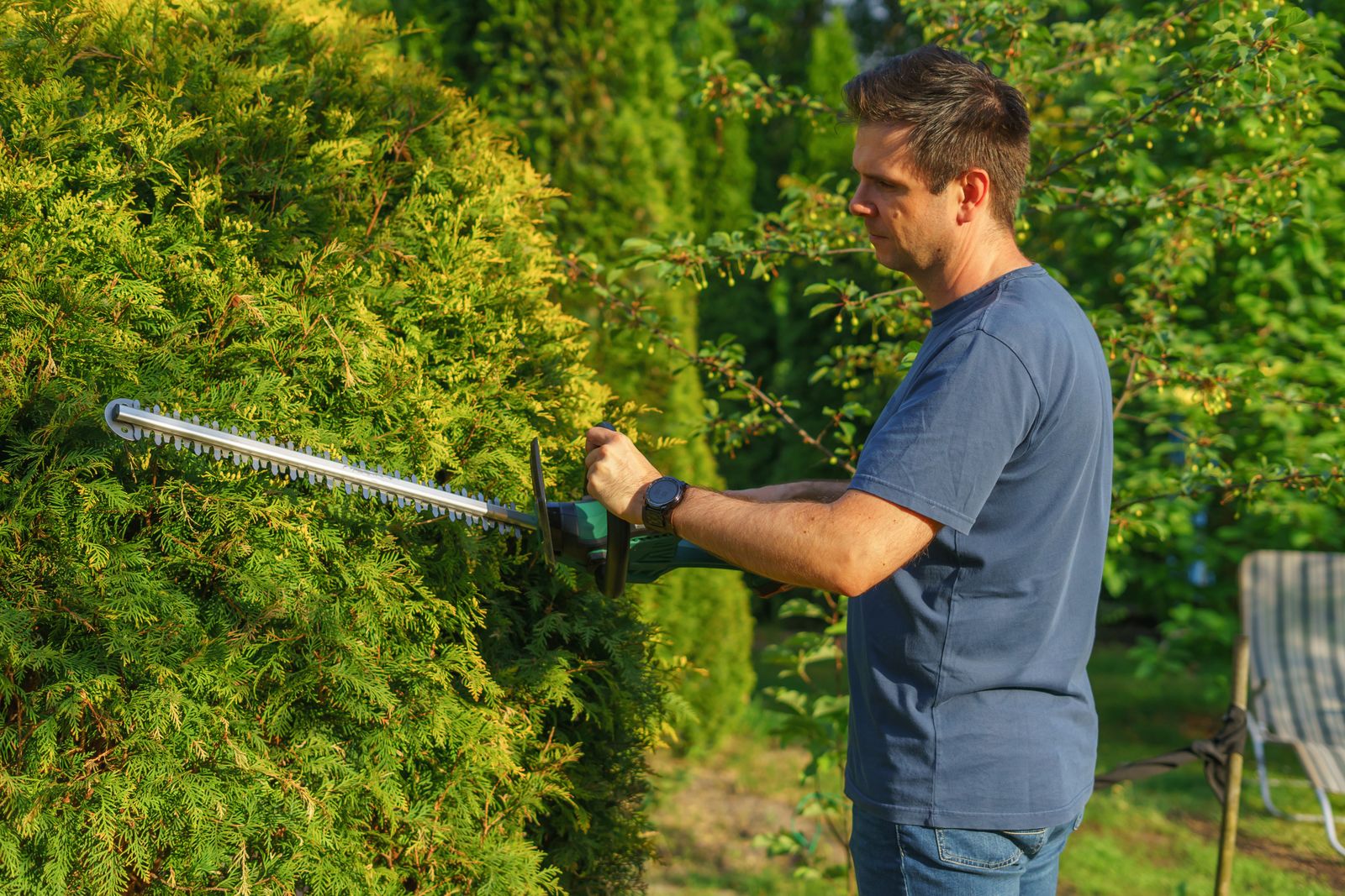 Jardinier taillant une haie de thuyas au taille-haie