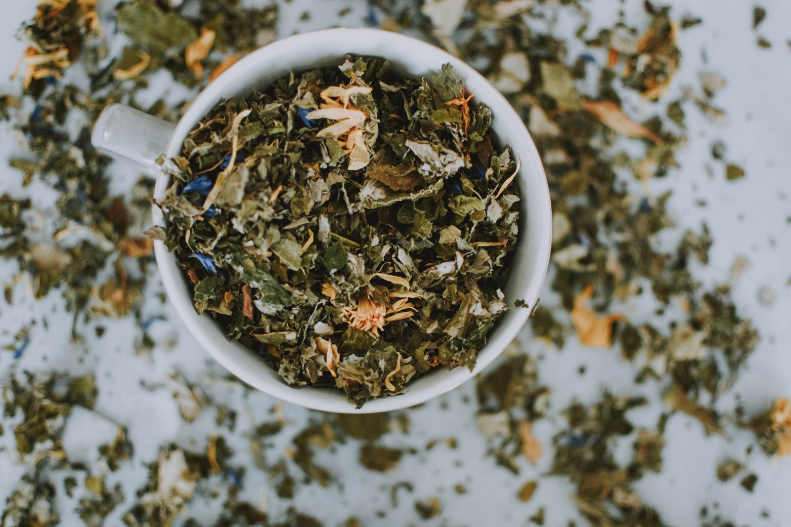 La tisane du soir, verveine et tilleul du parc