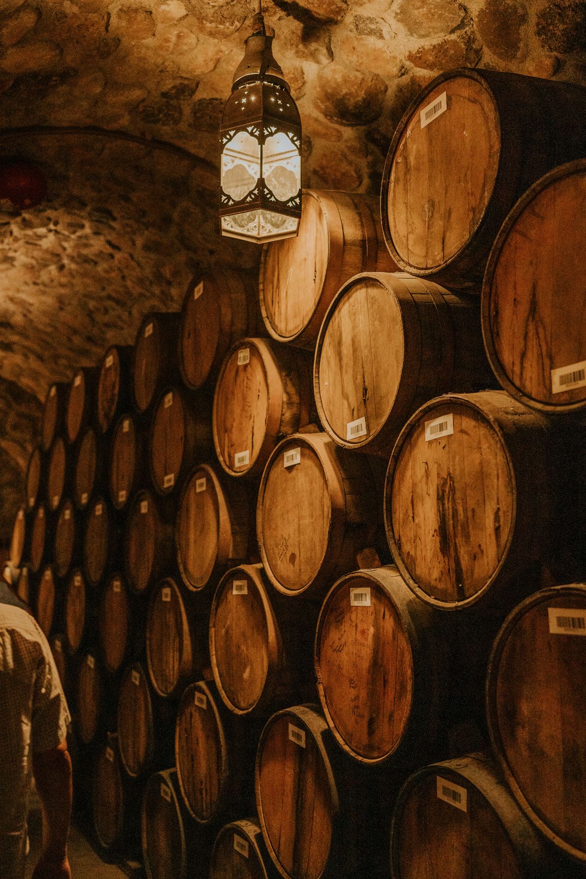 Barriques sous la lampe dans le chai de pierre