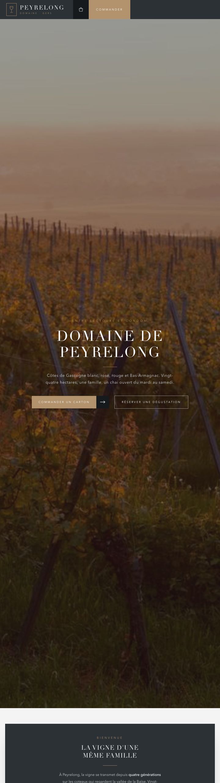 Démonstration vigneron, Domaine de Peyrelong